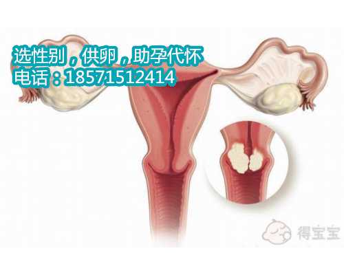 国内香港供卵生殖平台移植费用大概是多少？费用5000够吗？