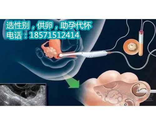 做胎教最新香港代怀孕价格表在肚子里会有什么反应