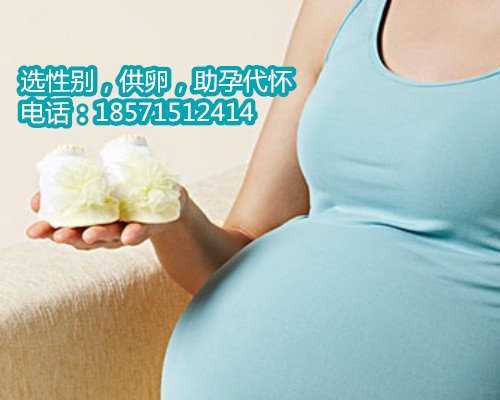 13周香港供卵试管报价高清男孩图片