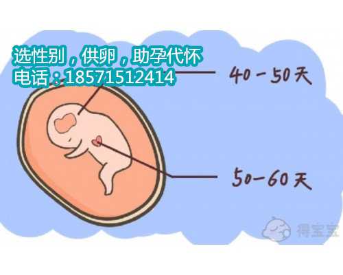 影响试管婴儿冻融香港生殖中心不孕不育科移植成功率的因素是什么？