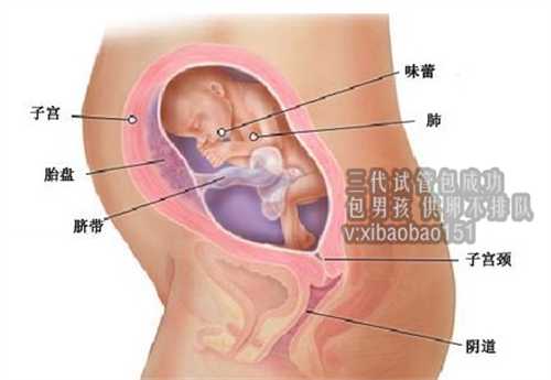 泰国试管婴儿过程_广州做第三代试管容易成功吗？取决于你的自身环境
