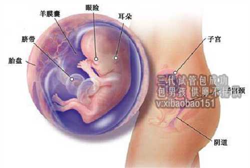 泰国三代试管的费用_来看看，第三代试管婴儿全过程是怎样的？