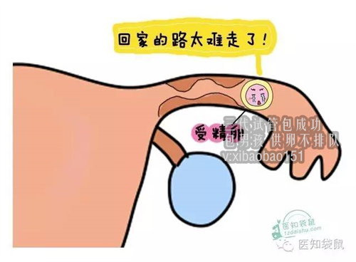 上海孕泰国际地址_单身男女高龄女士要想小宝宝美国试管婴儿能完